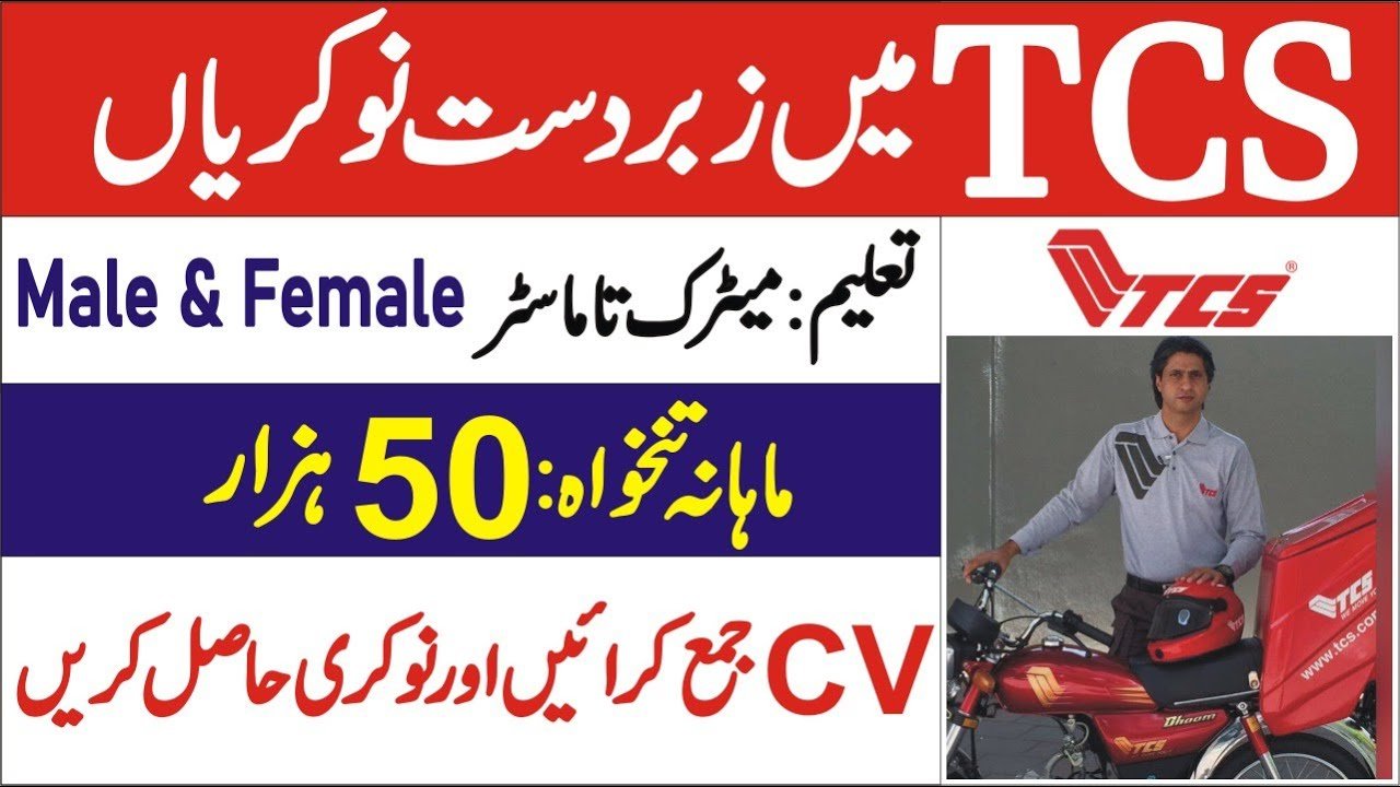 TCS Online Job